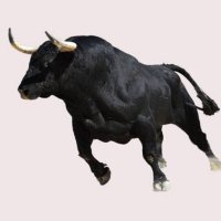 Miran (@miran497077) Twitter profile photo