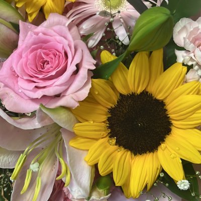 pasta2023's profile picture. King & Prince（💛寄り箱推し）今のところRPのみですすみません。共感できる方フォローさせていただいてます。