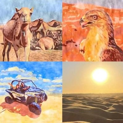 https://t.co/KBrGeS6GVs
FOR DESERT SAFARI BOOKINGS.
#desertsafaridxbme