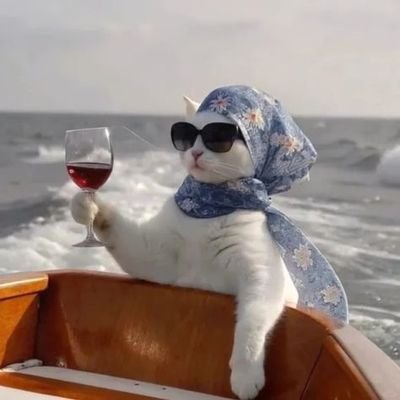 chaptered_soul's profile picture. NO DM | relatable thoughts | memes | poetry | positive vibes | shittposting