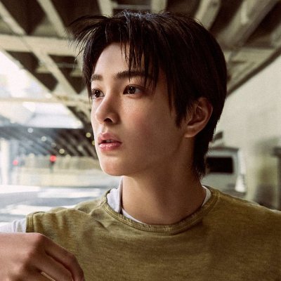 searching1113's profile picture. 