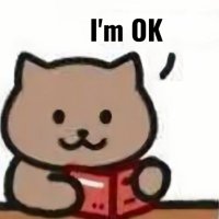 XL Cat (@xlayer_cat) 's Twitter Profile