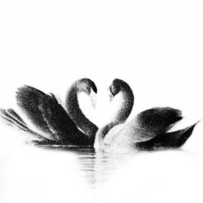 layyislove's profile picture. 