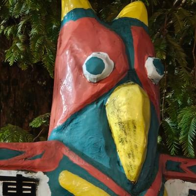 siratamas's profile picture. 酒は何でも呑みます。
軽度脂肪肝。