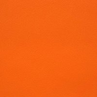 よーきゃん (@yocanp2m) 's Twitter Profile