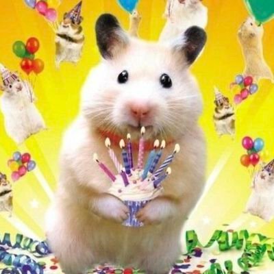 piun1613's profile picture. 사람 하나라도 부당하게 가두는 정부 밑에서
의로운 사람이 진정 있을 곳은 역시 감옥이다.