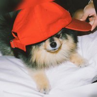 ˚⭒♪ⓥ𝐉𝘆σ𝐭𝐢𝐢ⓥ♪⭒˚ (@jakariaajyotii) 's Twitter Profile Photo ˚⭒♪ⓥ𝐉𝘆σ𝐭𝐢𝐢ⓥ♪⭒˚ (@jakariaajyotii) 's Twitter Profile Photo