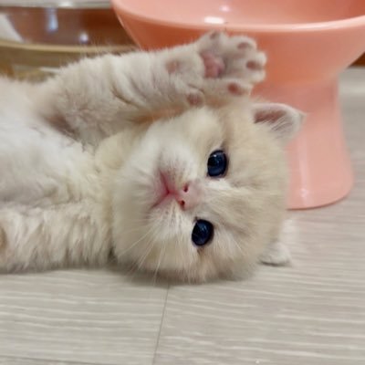 JunyoungYhim's profile picture. 