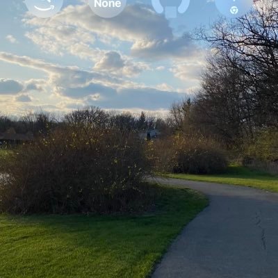 poleymj27836's profile picture. 
