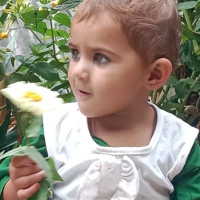 جمعیت کا مقصد جمعیت کا پیغام
اللہ کی زمین پر اللہ کا نظام