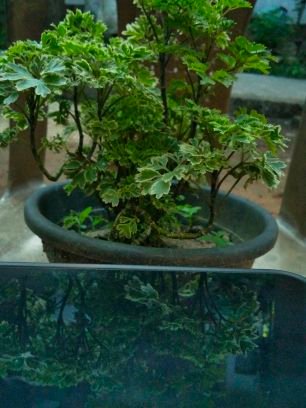 ChandhuNan83109's profile picture. Hi mallu couple from alappuzha swap friendship