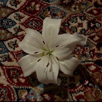 ihaolt's profile picture. 🇸🇦🤍