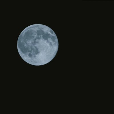 kyk12310's profile picture. #やあやあ日和