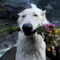 牵多多 (@qianduor) 's Twitter Profile