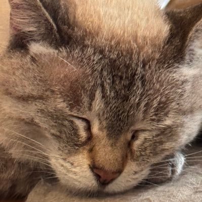 MIKI様ご確認ページ◡̈♡ ① 色々あって楽しい1年🗿みんな来年もよろしく