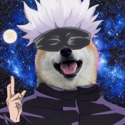 DonDaan11's profile picture. Advisor