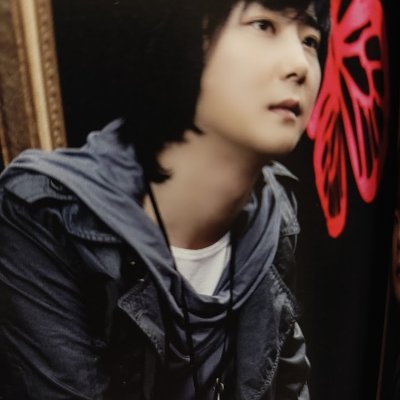SHINHWA scans from my collection.
Sorry if I missed a dog hair somewhere on the scans.
My dog apologizes too.