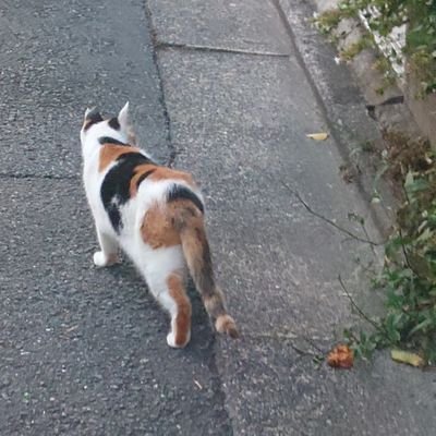 （ろひ)²さんのプロフィール画像