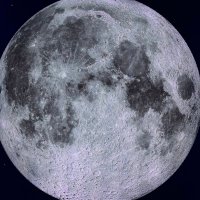 @取引 (@kurushiinyan) Twitter profile photo