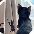 無害な病み垢です。。。
自立支援。。。手帳。。。
大嫌いな🤮ヒロ🍀(ヒムカズ)のスペース実況㊥はポスト多め。。。よってフォロバ非推奨。。。
NG→ヒロのようなモラハラ出会い厨❌️🤮🤮🤮
ヒロ🍀(ヒムカズ)夜勤あり工場勤務51歳チビハゲ → @GDxyg6GNZg763
スペースへの誘導DMにはご注意を