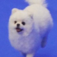 모주 (@morningcar0wner) 's Twitter Profile Photo