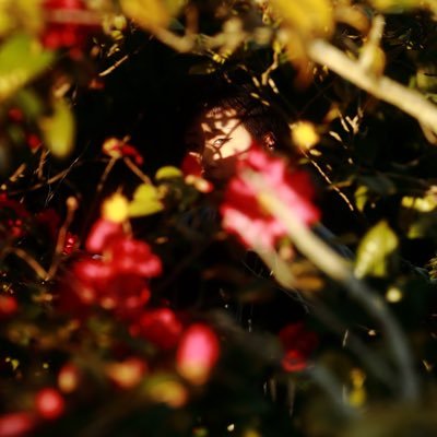 Nakai_0r314's profile picture. なんにもできない高校生。noteのことを日記だと思いこんでいます。最近のはまりごとはcodeとphoto。小中学生を対象によく学習支援のボランティアをやってるおねぇさん。ヘッダーは九州国立博物館の短刀/銘吉光