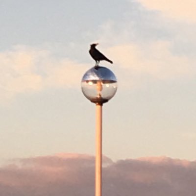 __puu's profile picture. 30↑ │ hrak │ 一番は 🦅 │ 夢 腐 │ 雑食 │ 愛が重い