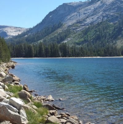 R0MLPF's profile picture. 🇫🇷 Français et Patriote