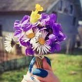 Emily5964359269's profile picture. Marketing professional, yoga enthusiast, loves traveling.