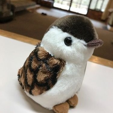 10世代　飛行機好きの初心者ペンスピナーです！