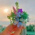 Explore the Nature 🍃 (@nature7385) Twitter profile photo Explore the Nature 🍃 (@nature7385) Twitter profile photo