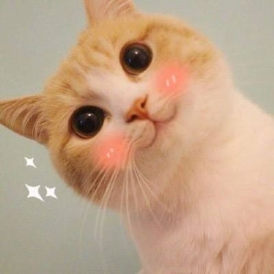 ongtongzay's profile picture. 🎙🎵  อุ อิ อา ~ อุ๊ อิ อา ~ อุ๊ เอะ อุ อิ อา เอะ ~ โอะ อิ อ๊า ~ อุ อะ อ๊ะ ~  อิ อ๊า อิ โอ อุ อา 😽 💜