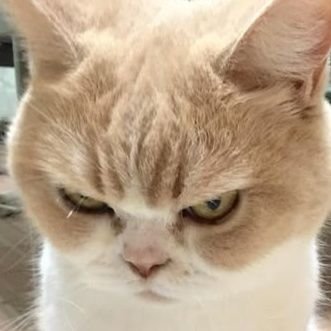 ChwyThari48225's profile picture. 👩🏻‍🎤 active learning แอคนี้บ่นด้วยคุยคนเดียวค่อนข้างเก่ง ⭐️focus on the actors,,👀🤍