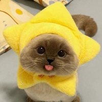 meowmeowmeow (@doc_artsy) 's Twitter Profile