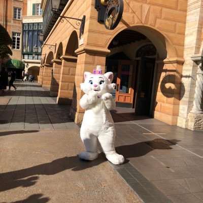 9dtedYghFezmN6x's profile picture. 