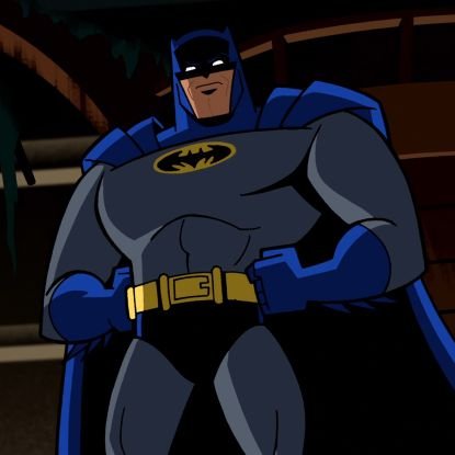 NIGHTWING Profile