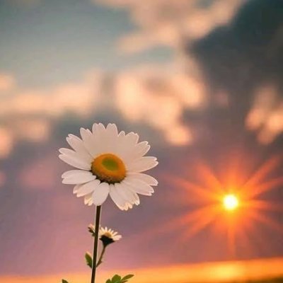 Fast_RuneV2's profile picture. This is a personal account. Not affiliated with any project mentioned!