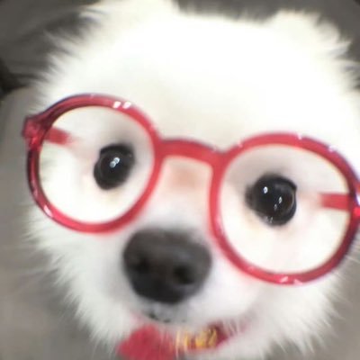 Nemmm0n's profile picture. 스트라이크와일더아이언스핫허점들이보인스팟