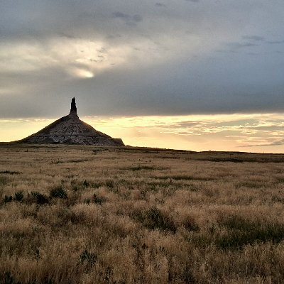 AceHessian's profile picture. Trump is the most corrupt president we've ever had.