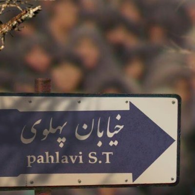زن ايران زمين، قبله ام ايران، دين من ازادگي، سرباز وطن، پادشاهي خواه، دشمن اخوند و ملا و عمامه.