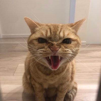 KEIKO17823's profile picture. 