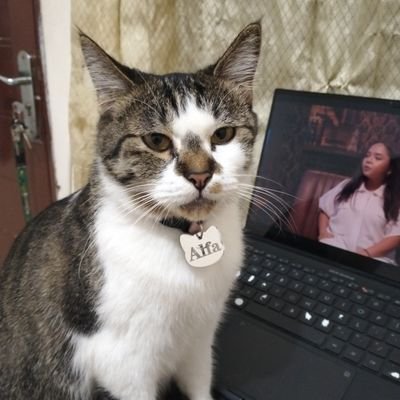 gmlywp's profile picture. 