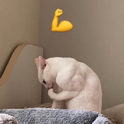 sheerengja's profile picture. ar ที่รักการนอน 😴