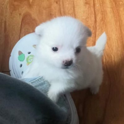 wwnzzl's profile picture. 