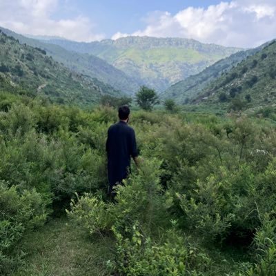 xeeshkhan's profile picture. .