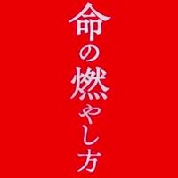コムドット 8z-t031-051_6b.jpg?v=