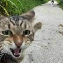 Mnorcy_'s profile picture. 