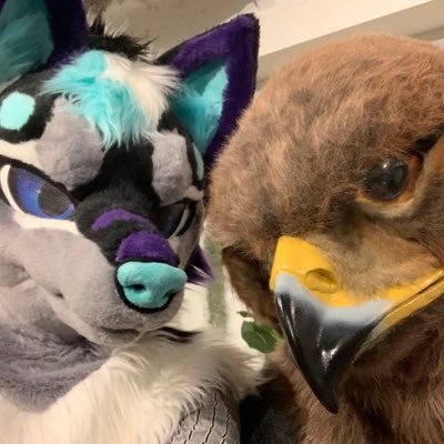 着ぐるみが好き 参加予定:未定 @BurtonSeven152 様からルーイン/Ruin🦅 @Kemono_LINE様からリヴェルヴェロ/Riverbero🐺@Riverbero_0330 をお迎え icon:@Radywolf フォロバは会った人優先