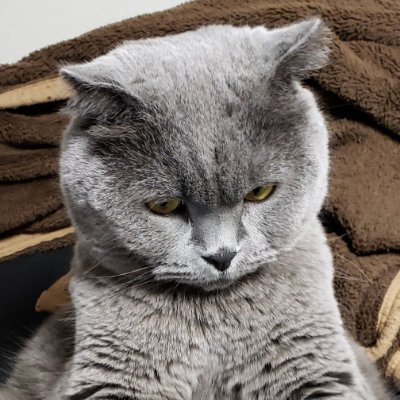 奏太さんのプロフィール画像