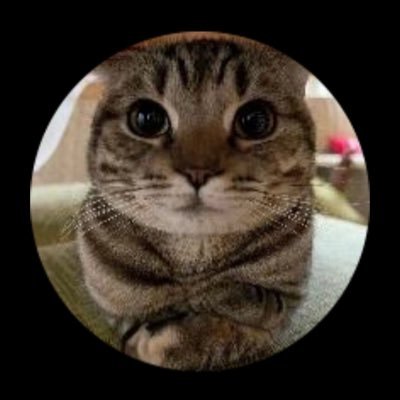 kothCap12's profile picture. king of the hill https://t.co/H1C4ieTtWQ